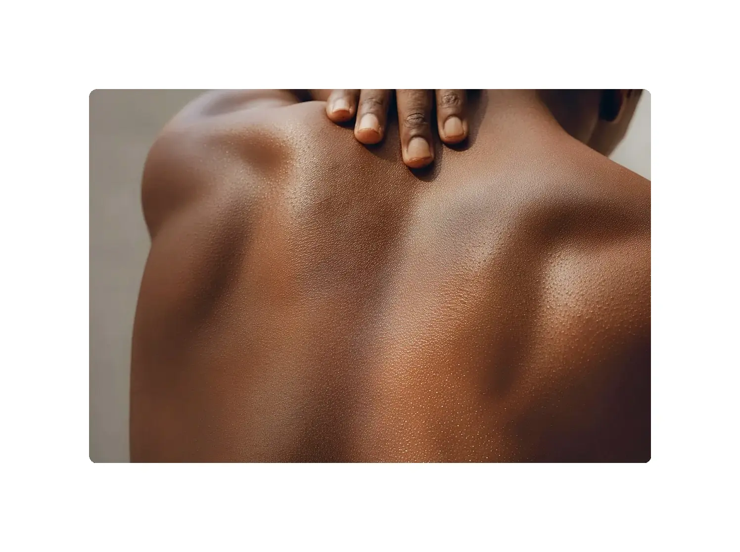 Image_MD_centered_framed_3x_rounded16_highquality